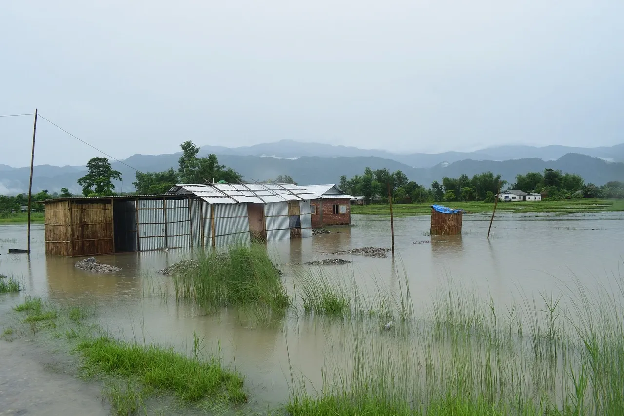 Paddy cultivation is heavy dependent upon rainfall. India is the second largest producer of rice in the world