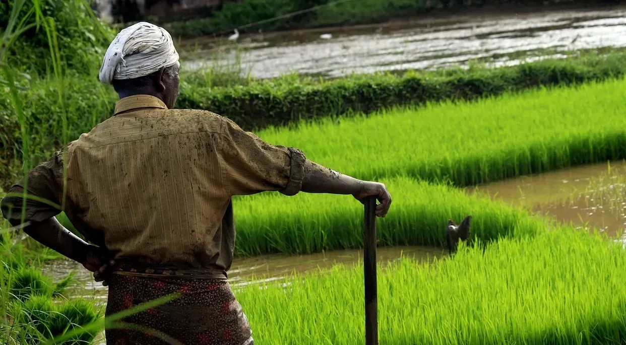 Fertilisers currently draw a GST of 5%. A parliamentary panel had, in February, recommended the GST Council to exempt fertilisers from taxation (Representative image)