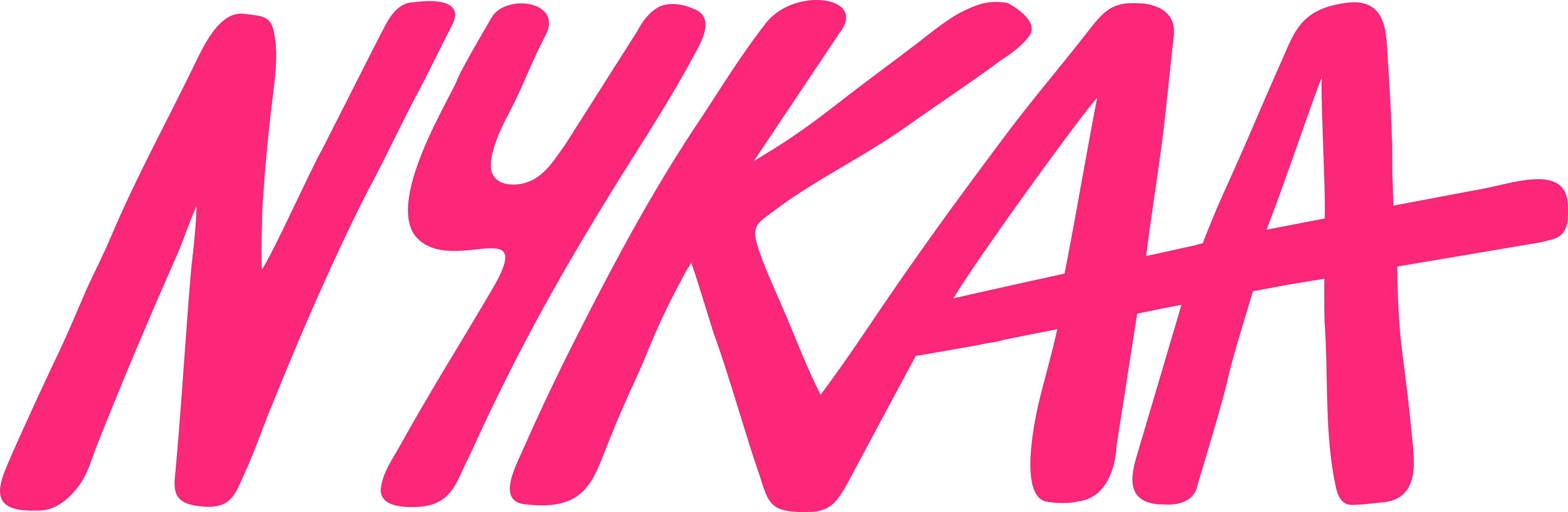 Nykaa - FSN E-Commerce Ventures