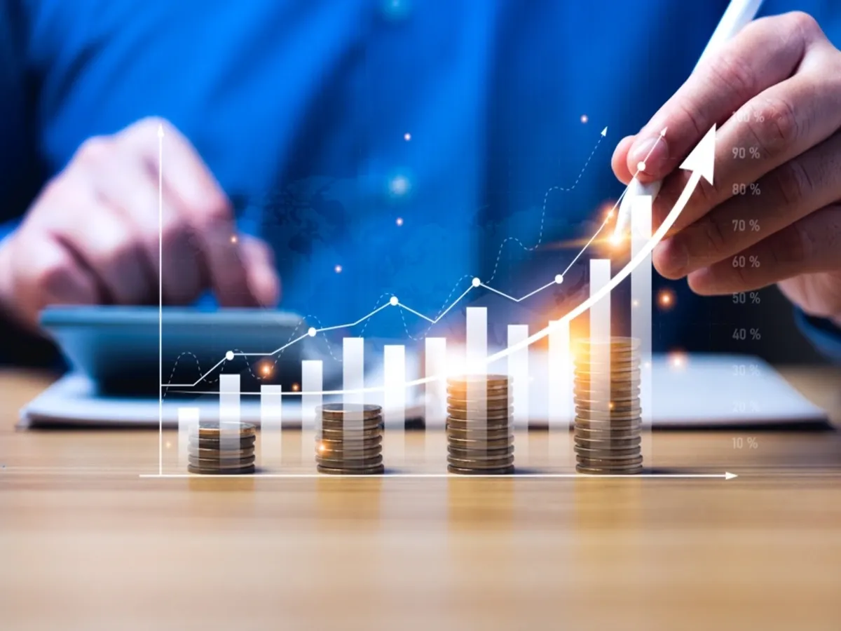 Notable asset growth in companies like PCBL, RHI Magnesita and Lloyds Metals & Energy over the past two years