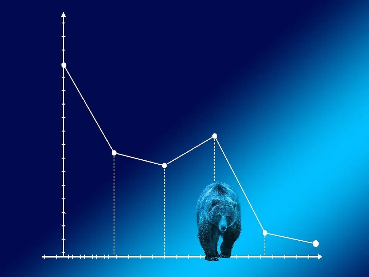 The share market declined a day after it witnessed a healthy rally after a long time on Donald Trump's win in the US elections. 