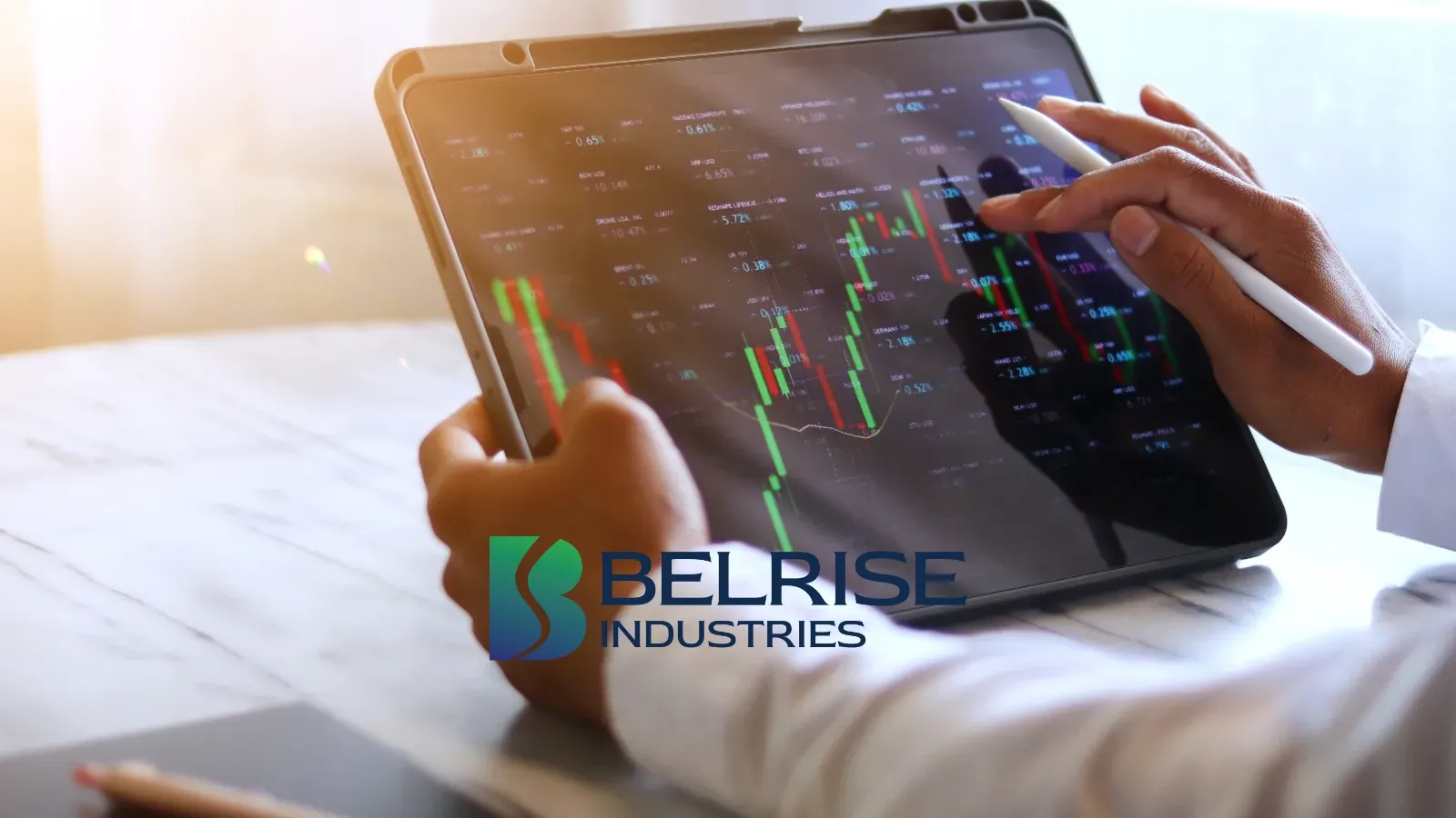Belrise Industries