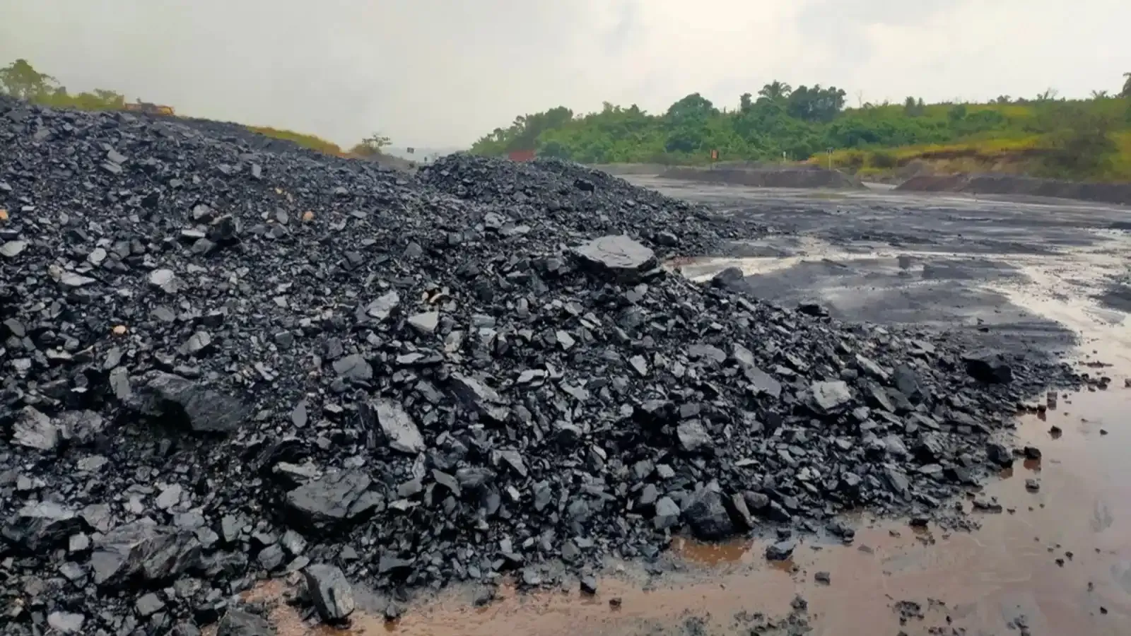 Bharat Coking Coal IPO Allotment Live Updates, How to check status on NSE, BSE, KFin Technologies, latest gmp