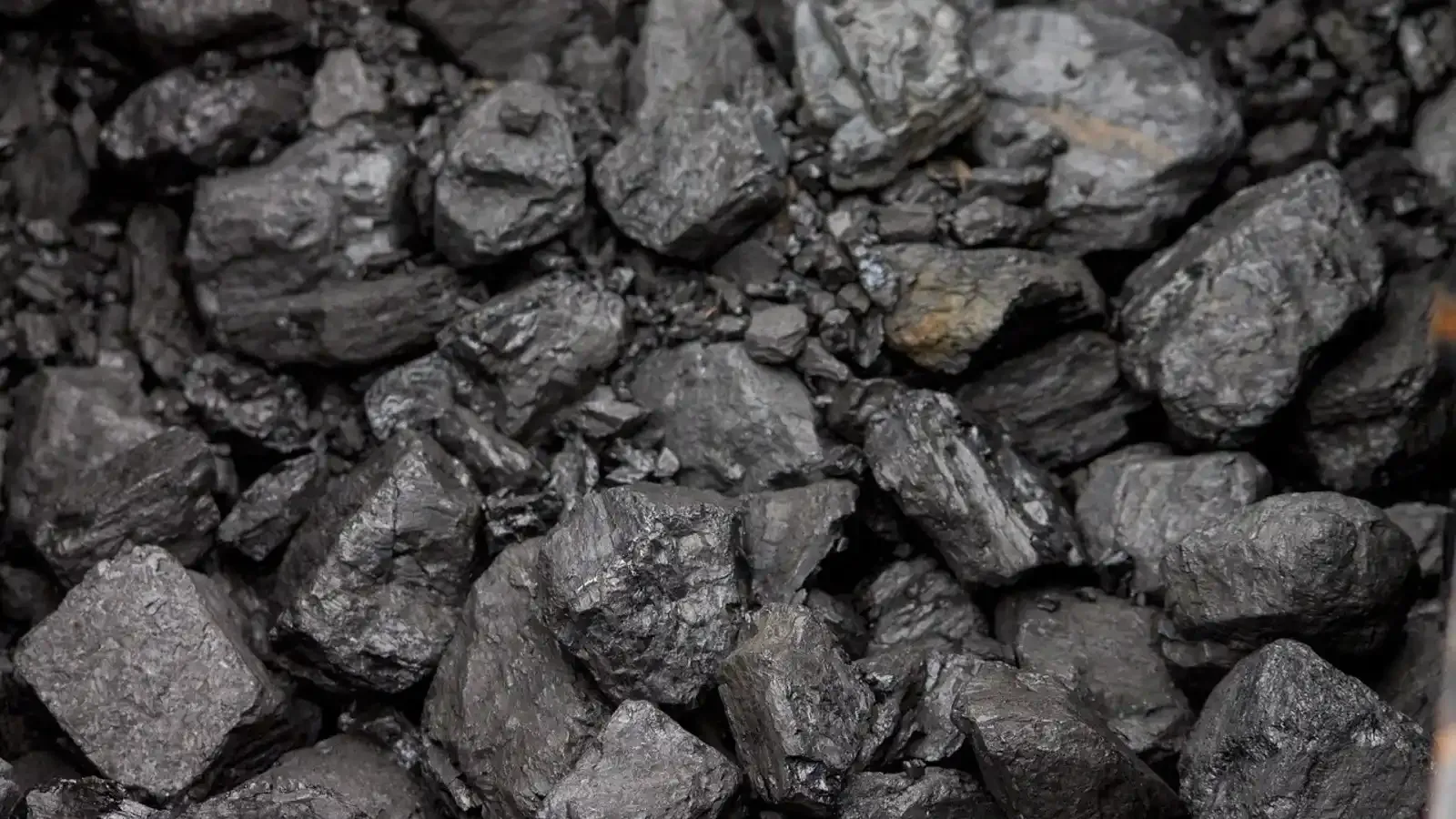 Bharat Coking Coal IPO, with a price band of ₹21 to ₹23 per share, will close on January 13. | Image: Shutterstock