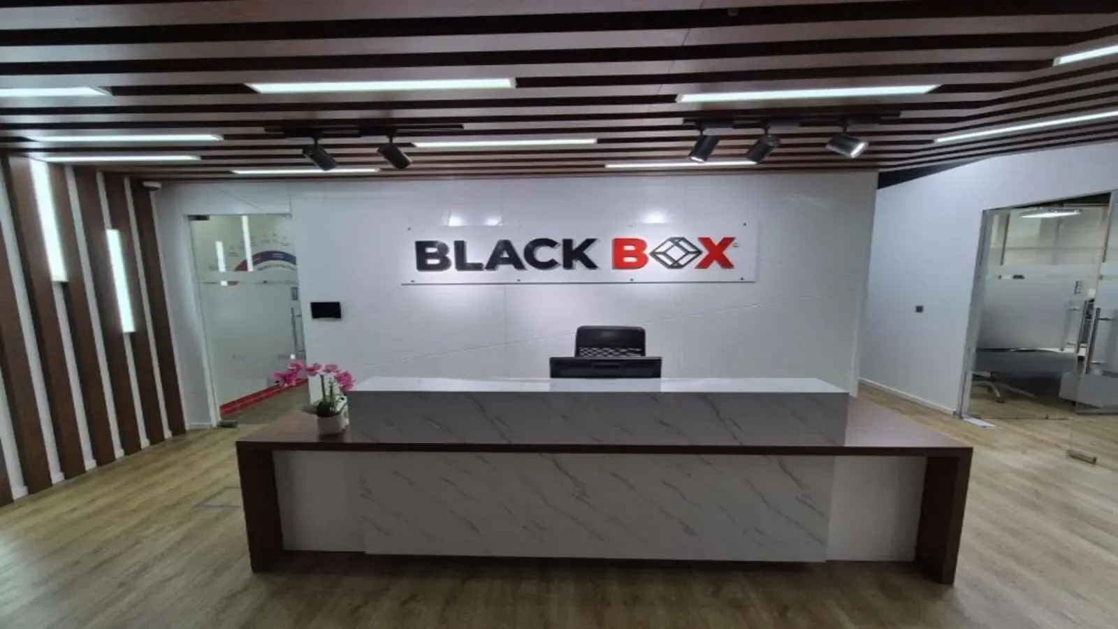 Black-box-share-price-august-13