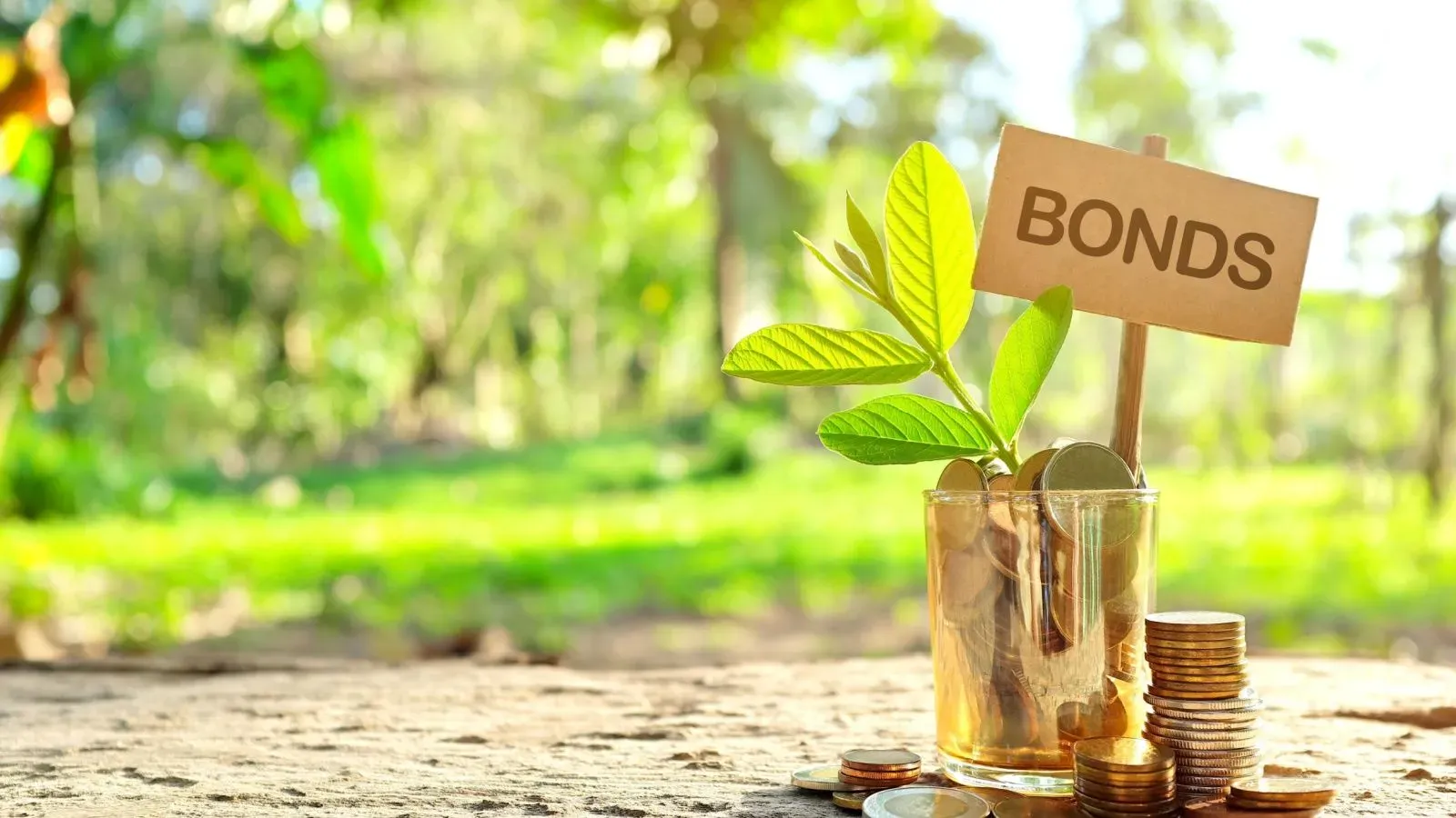 corporate bonds vs shares