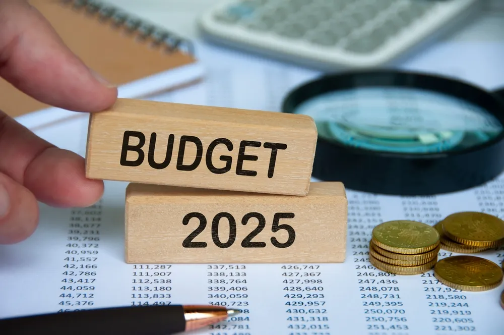 budget 2025 salary tax expectations