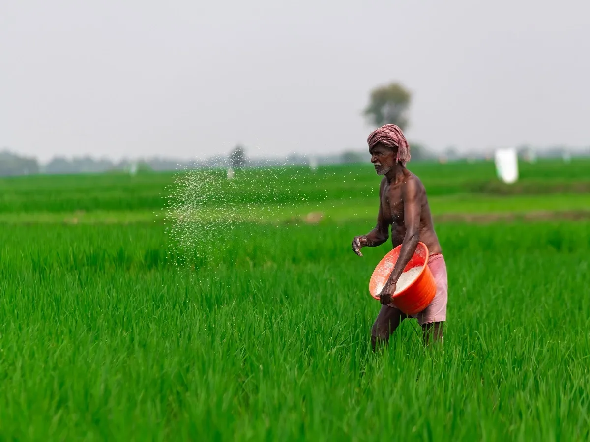 Budget expectations agriculture, 2026