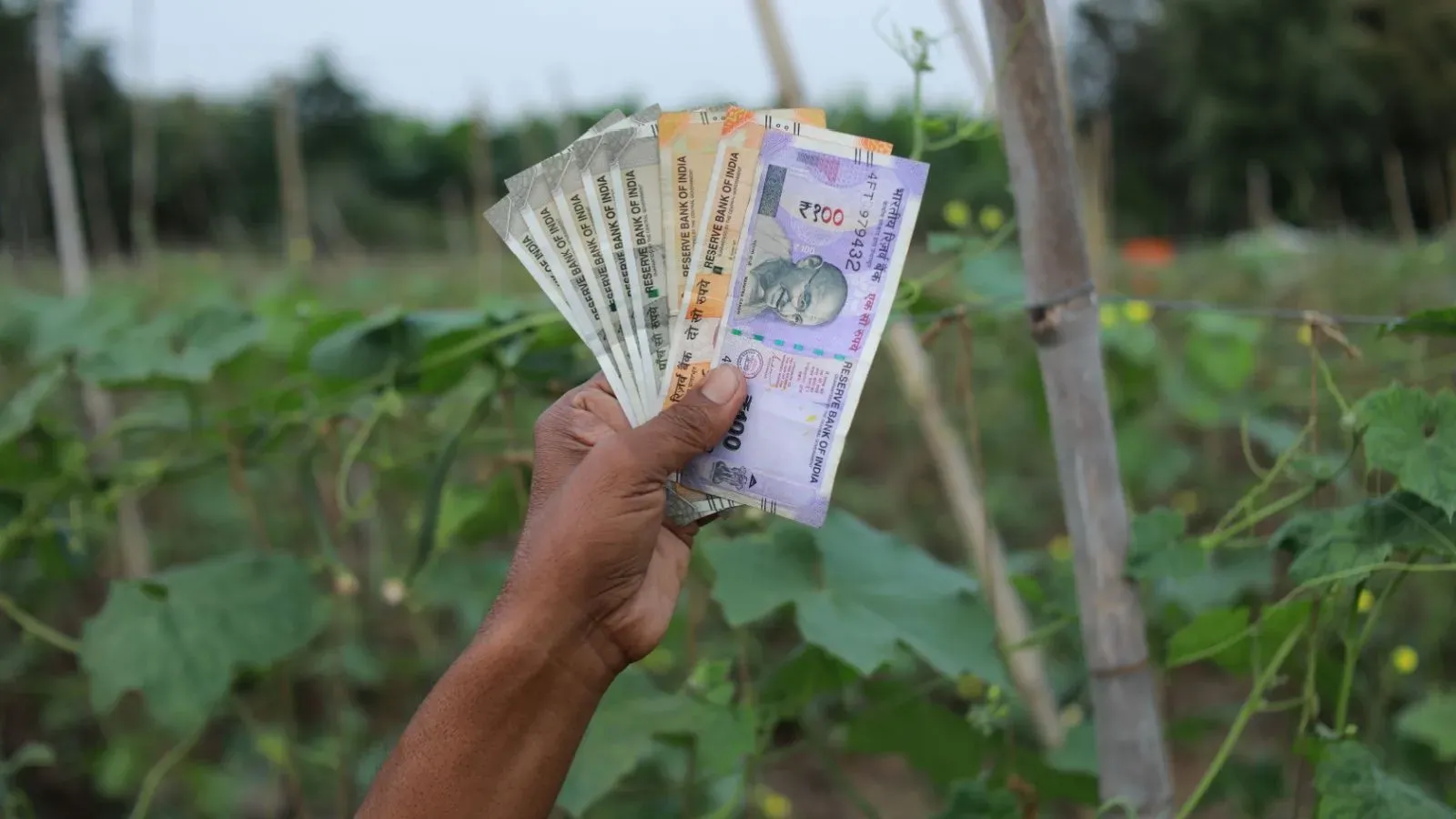 Capital gains tax on selling agricultural land 15 jan