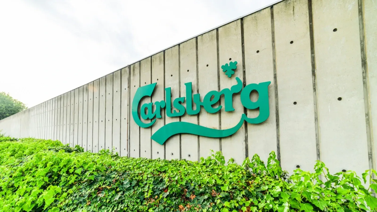 Carlsberg India had filed for IPO via the confidential pre-filing route on July 1. | Image: Shutterstock