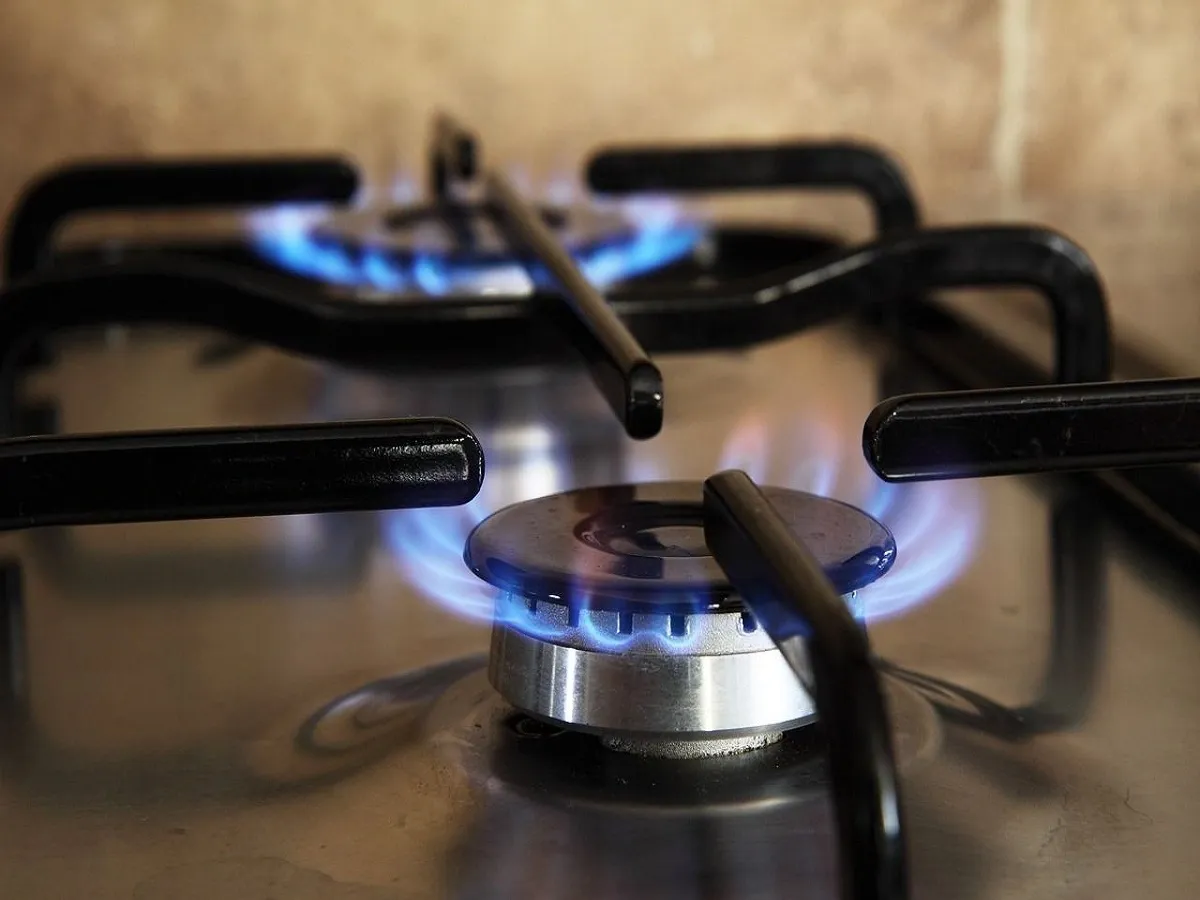 MGL, IGL, Adani Total Gas: CGD stocks rally as Centre unveils domestic PNG incentive scheme; key details