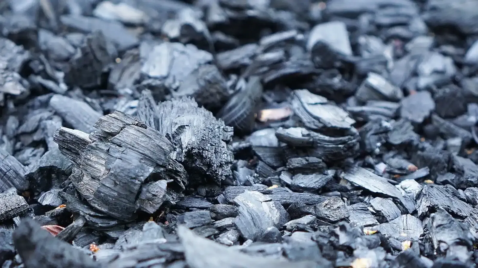 CMPDI shares details, April 13, 2026