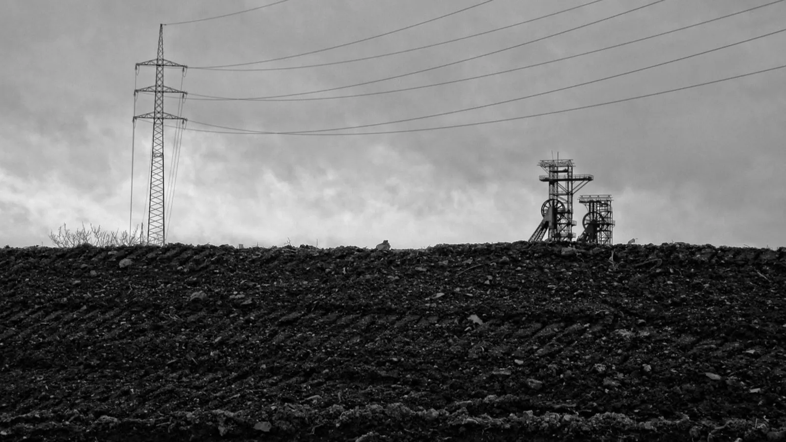 The move is part of the central government’s broader strategy to unlock value in high-performing PSUs and enhance corporate transparency through public participation. | Image: Pixabay/Representational