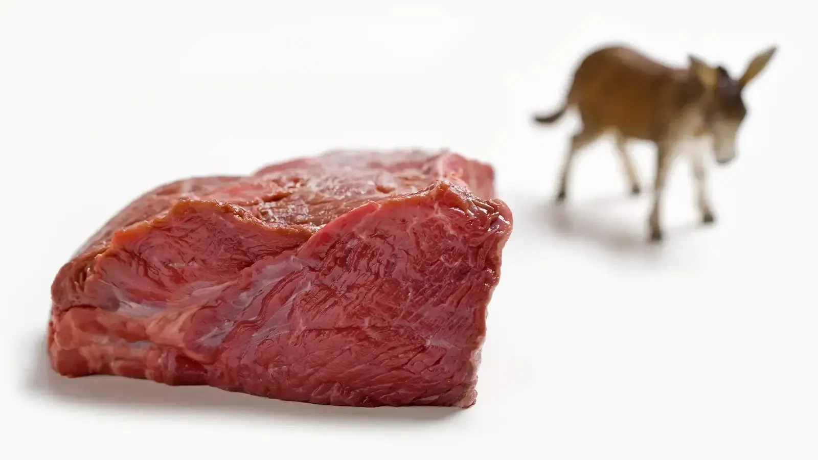 donkey meat