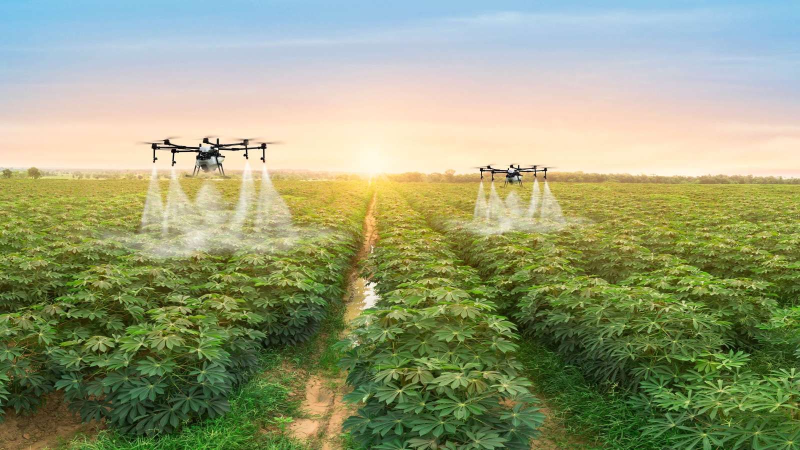 नमो ड्रोन दीदी स्कीम