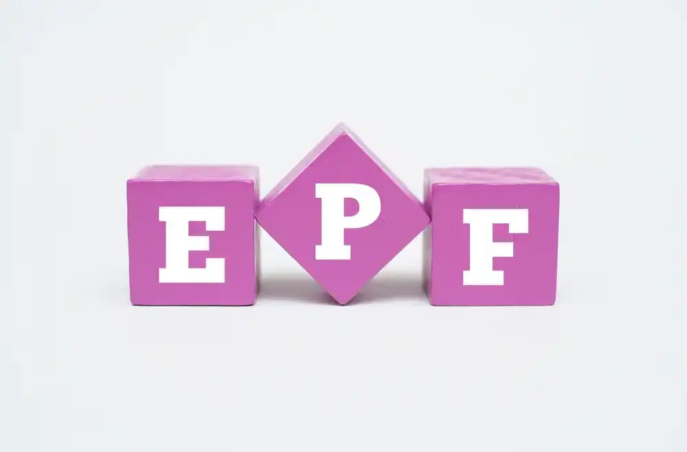 EPFO expects portal services to resume from July 2