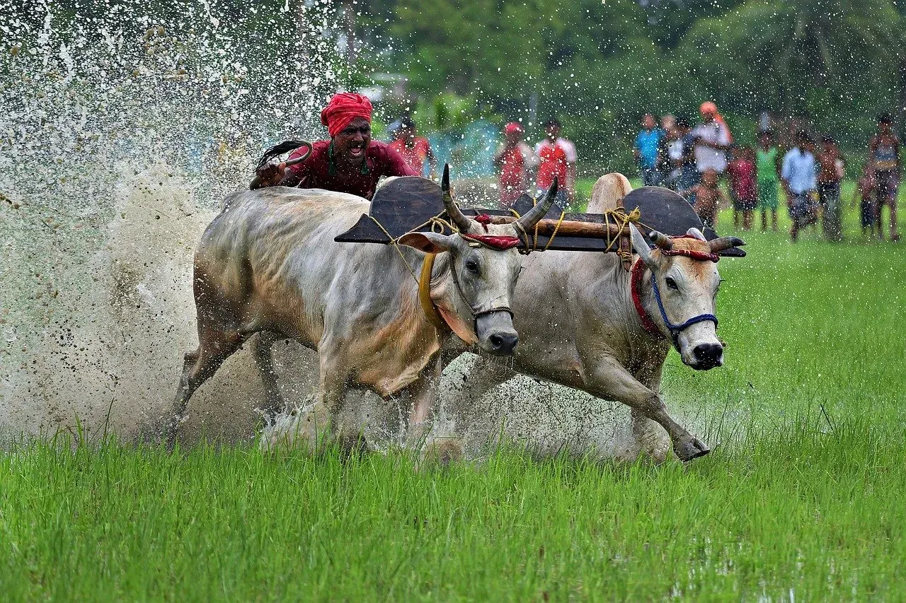  A total amount of ₹22,000 crore will be disbursed to 9.8 crore farmers, Union Agriculture Minister Shivraj Singh Chouhan said on Friday.