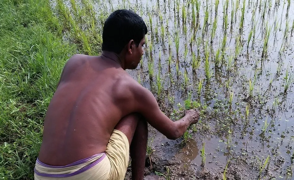 ग्रामीण मजदूरों को साल के पहले महीने में मिली राहत।