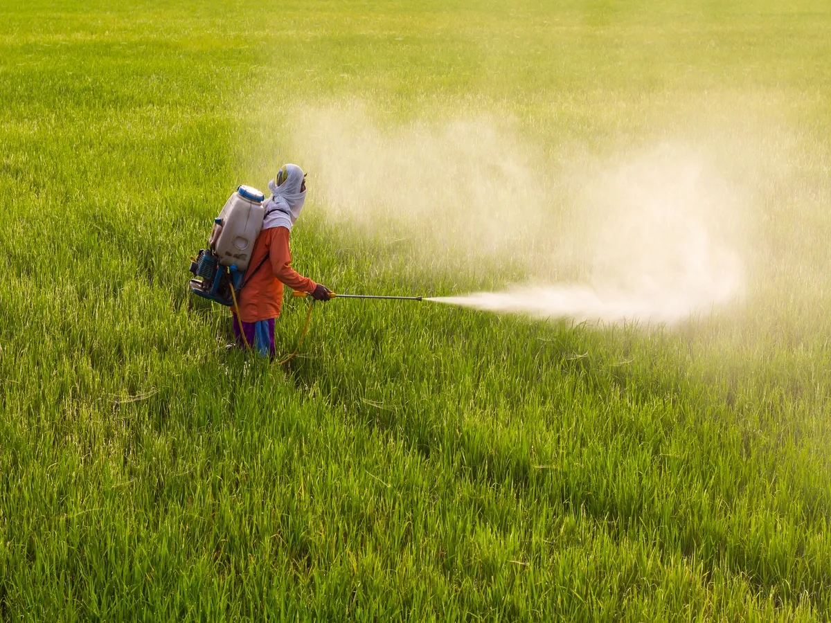 Fertiliser stocks in the green as potash prices fail to gain strength.