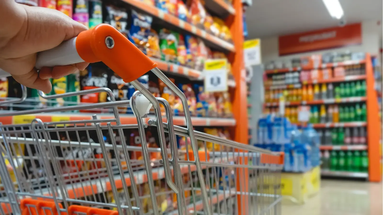 FMCG stocks in focus-Sept-24-2026