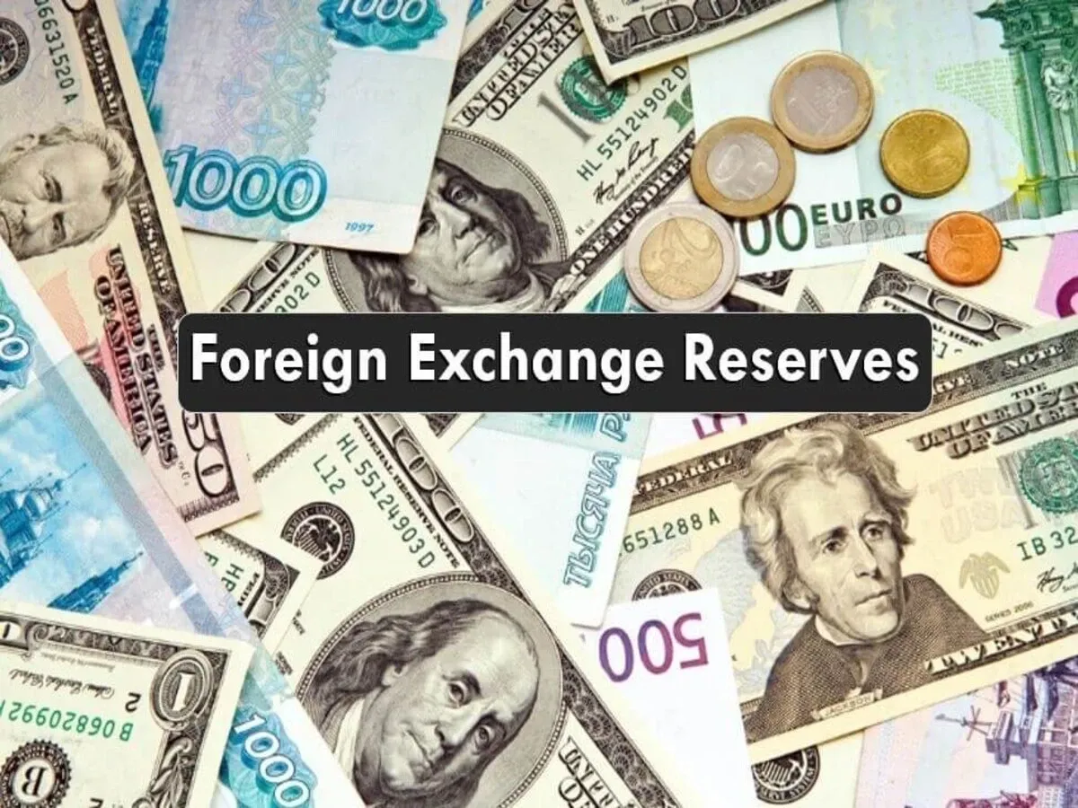 India’s Foreign Exchange Reserves: What’s behind the Numbers?