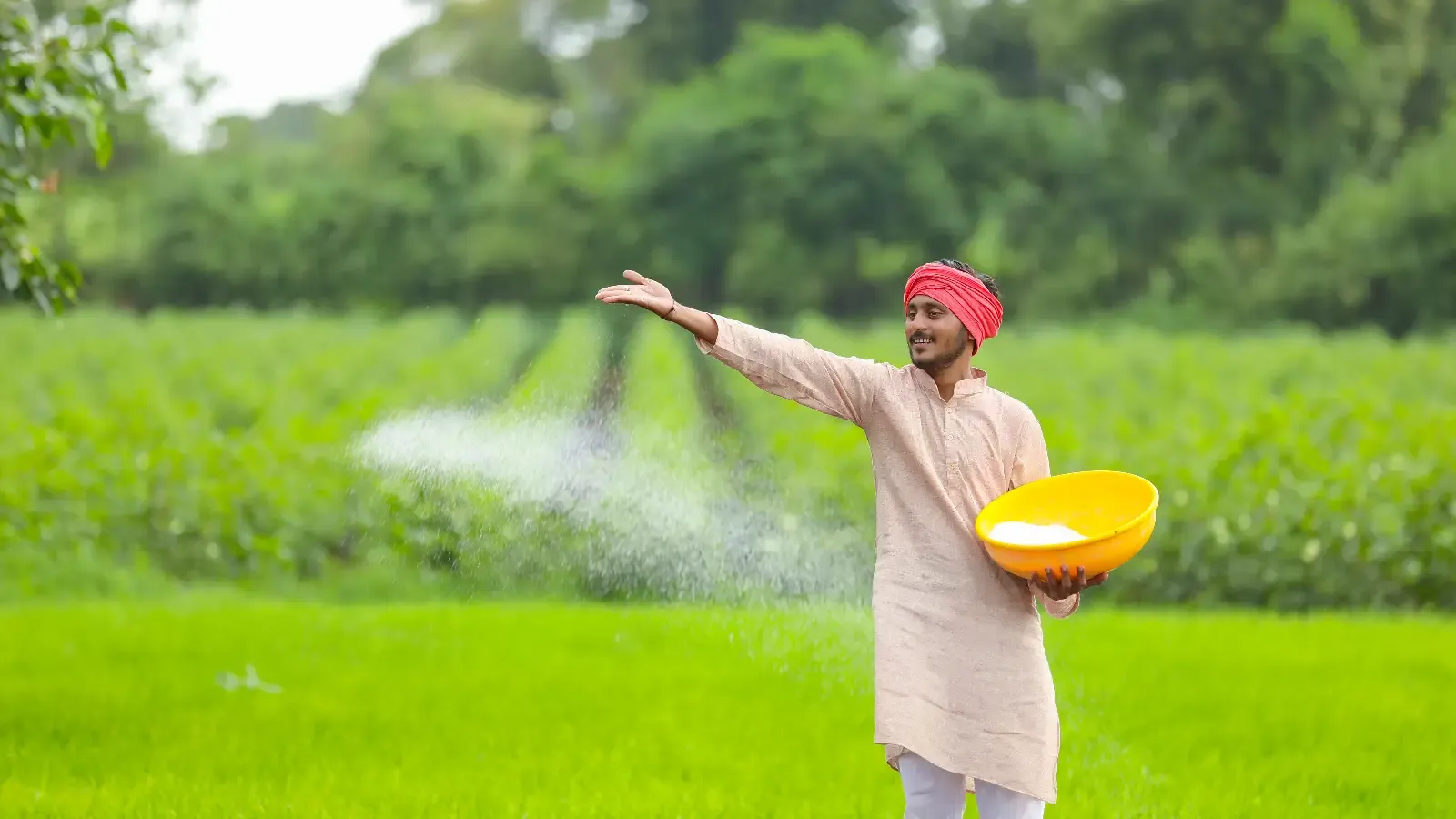 foreign-fertilizer-import-subsidy