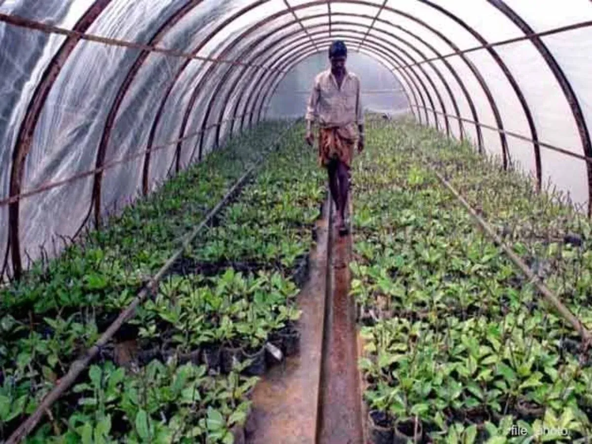 In the Budget 2024 speech, the Finance Minister said that enhancing productivity and resilience in agriculture is her priority