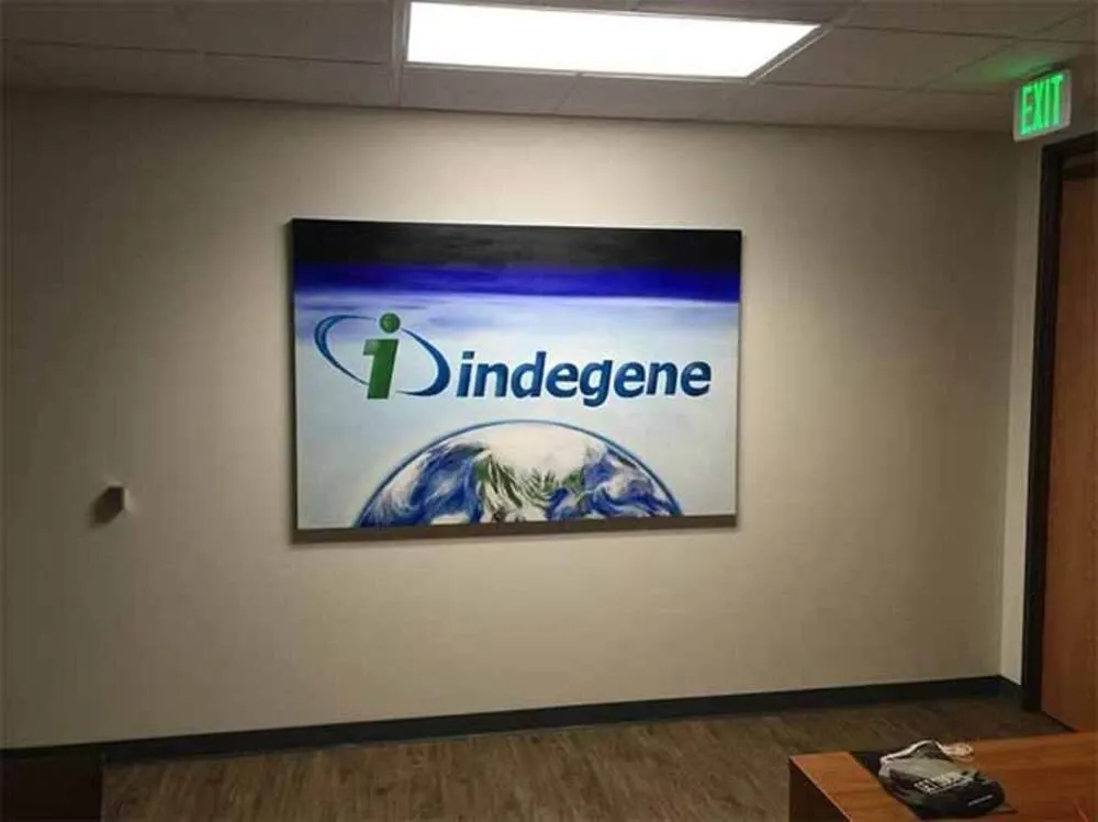 Indegene Limited (1).webp