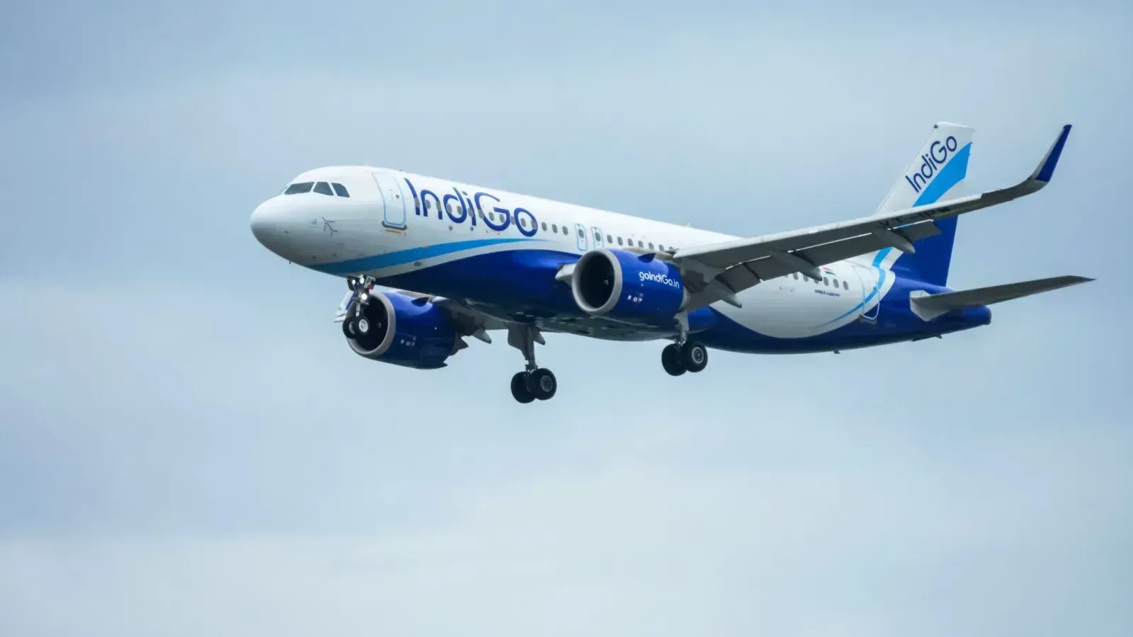 Willie Walsh takes charge as IndiGo CEO, succeeds Pieter Elbers