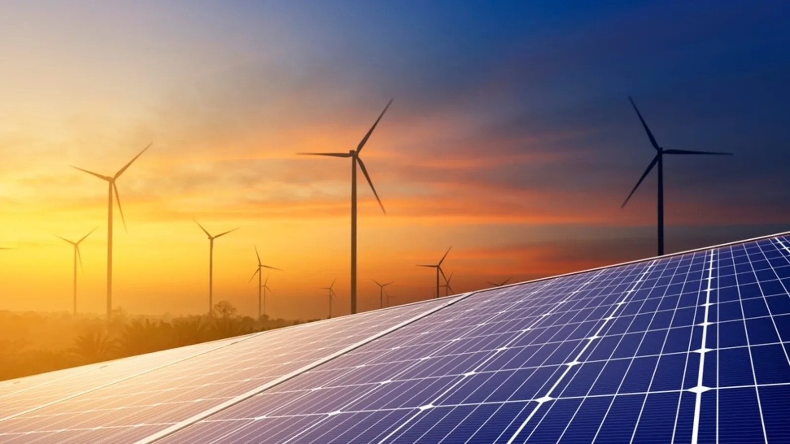 IREDA's market capitalisation stands at ₹39,806.81 crore. | Image: Shutterstock