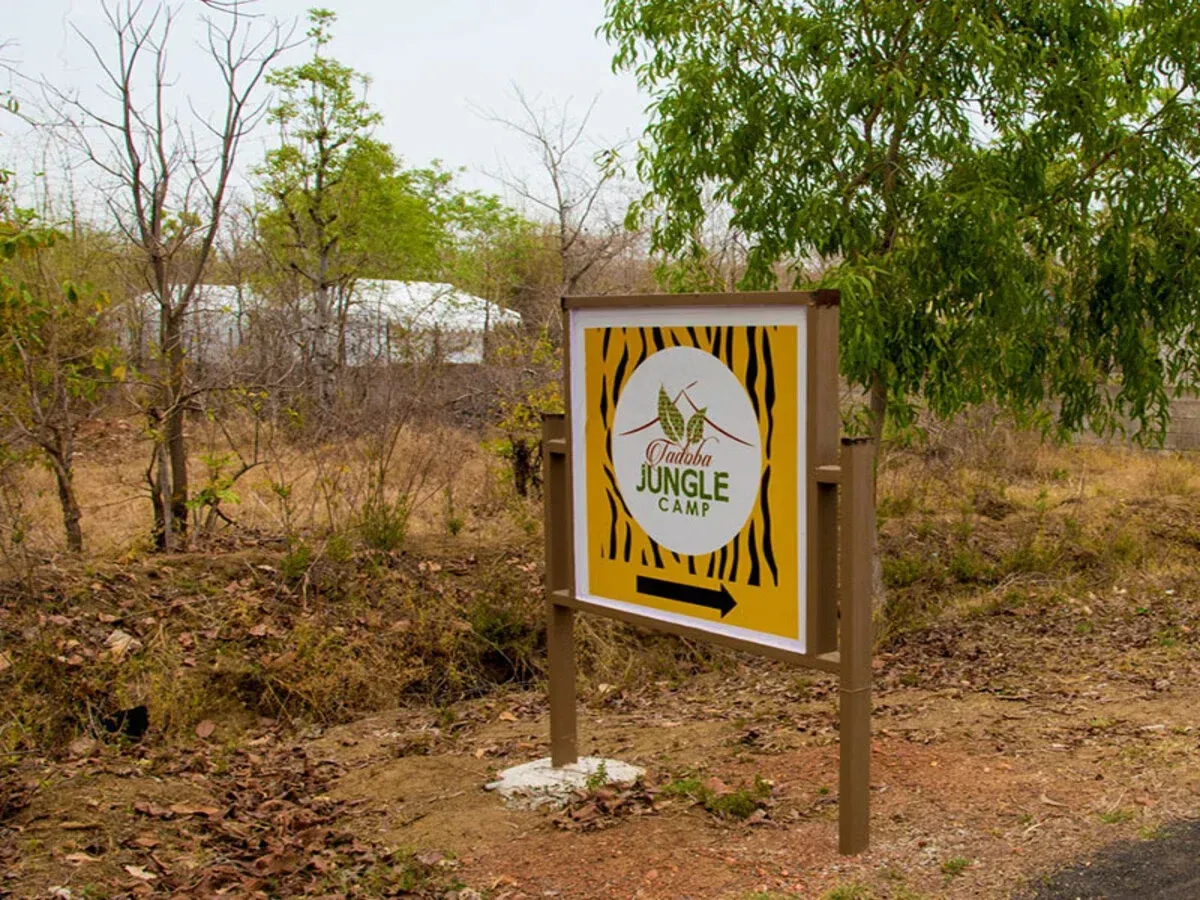 Jungle Camps India IPO