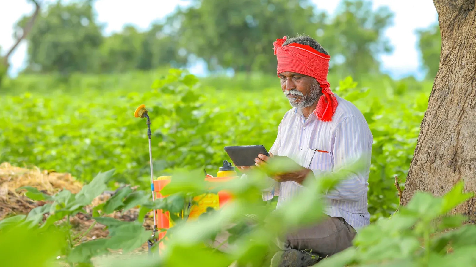 kisan-diwas-2025-top-10-government-schemes-for-farmers-welfare