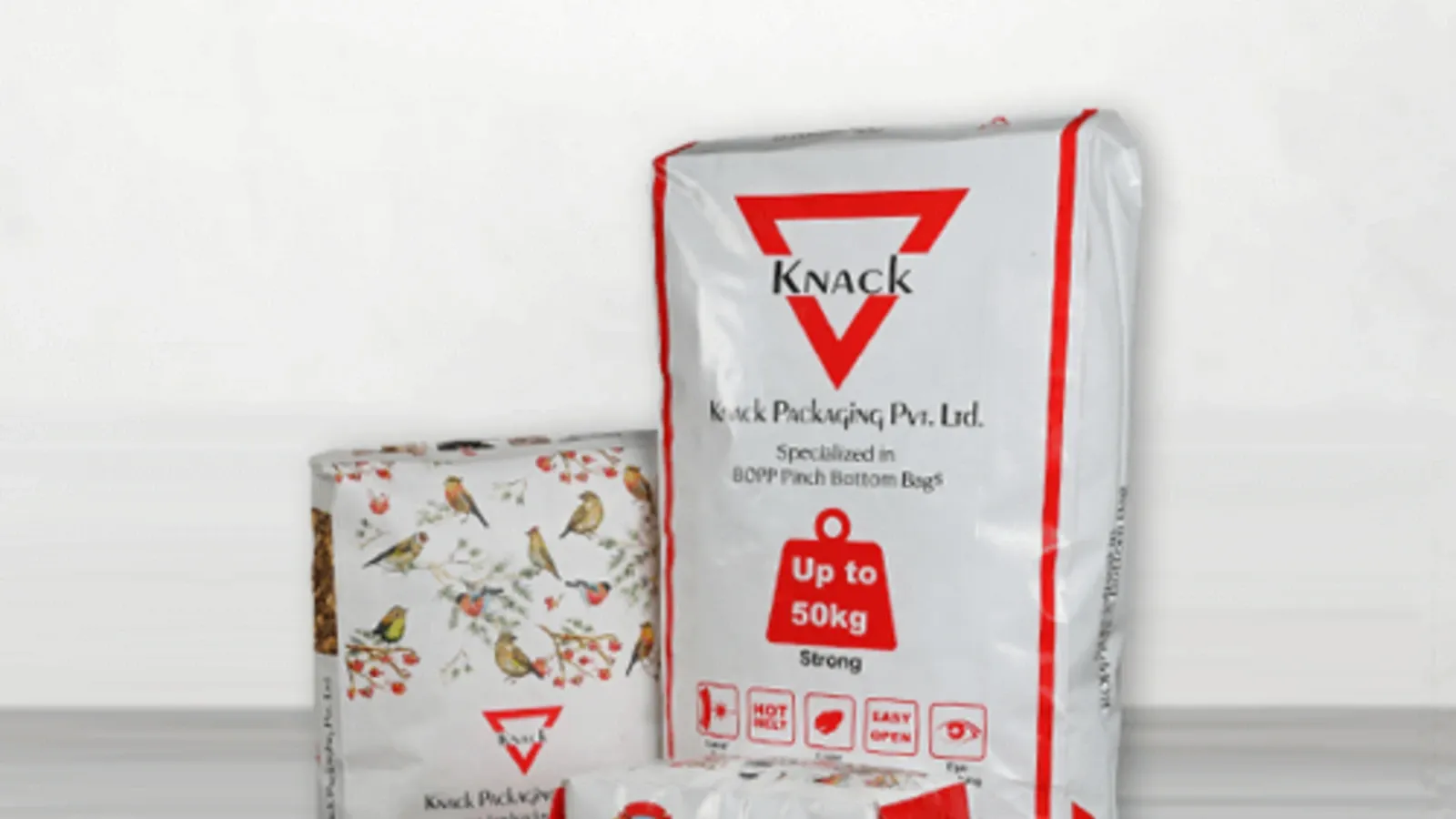 Knack Packaging IPO allotment status | It is an integrated packaging solutions provider. | Image: knackpackaging.com