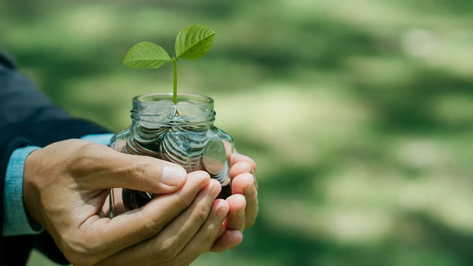 kvp ns interest rate taxable itr filing