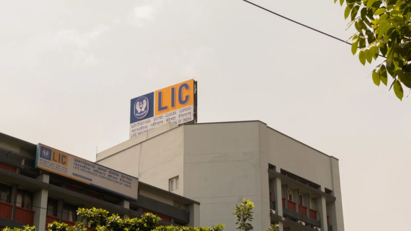 LIC OFS details, August 5