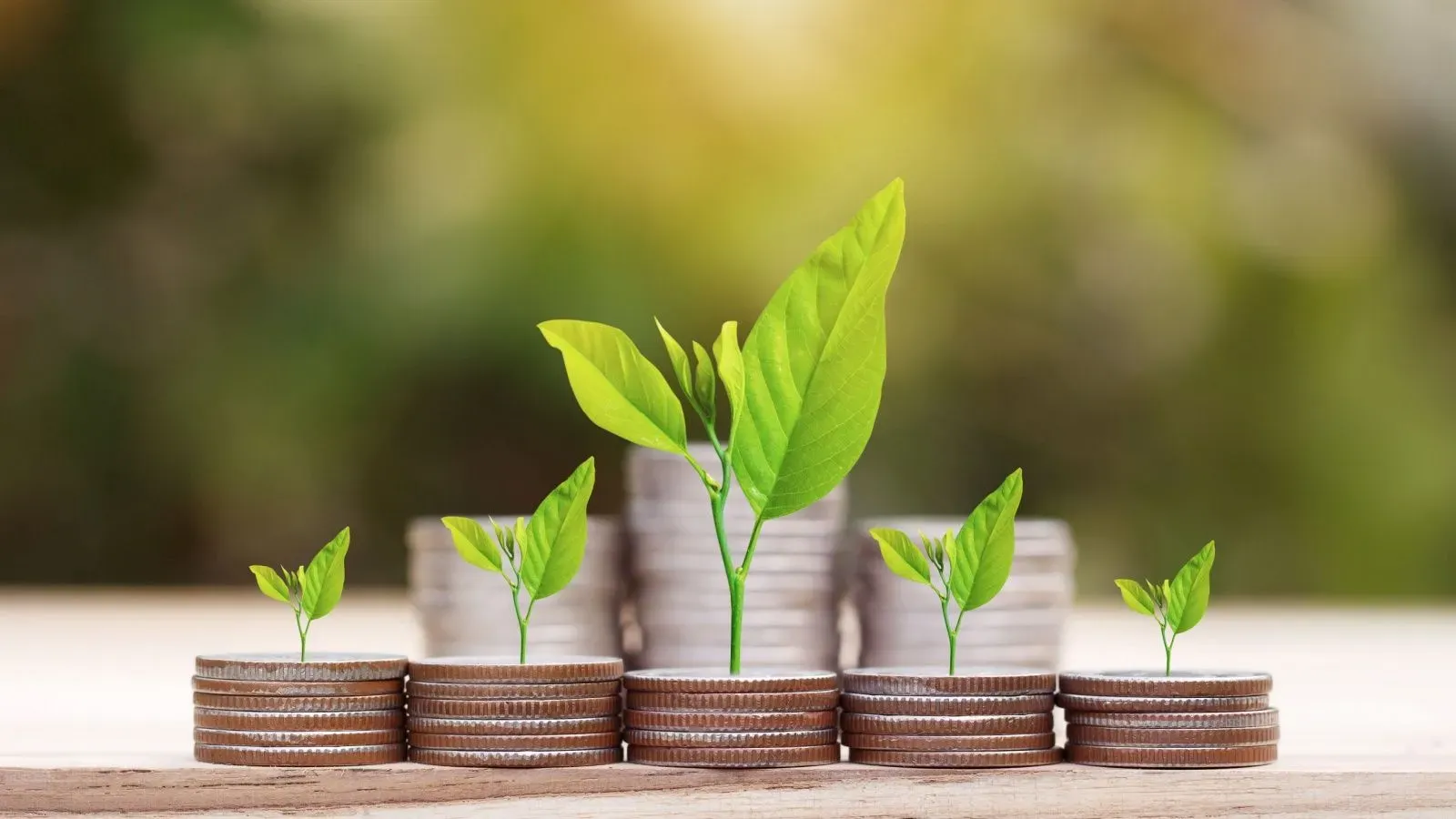 Mutual funds in 2025: Large-cap, large & mid, small-cap and ELSS index beaters in 1 year