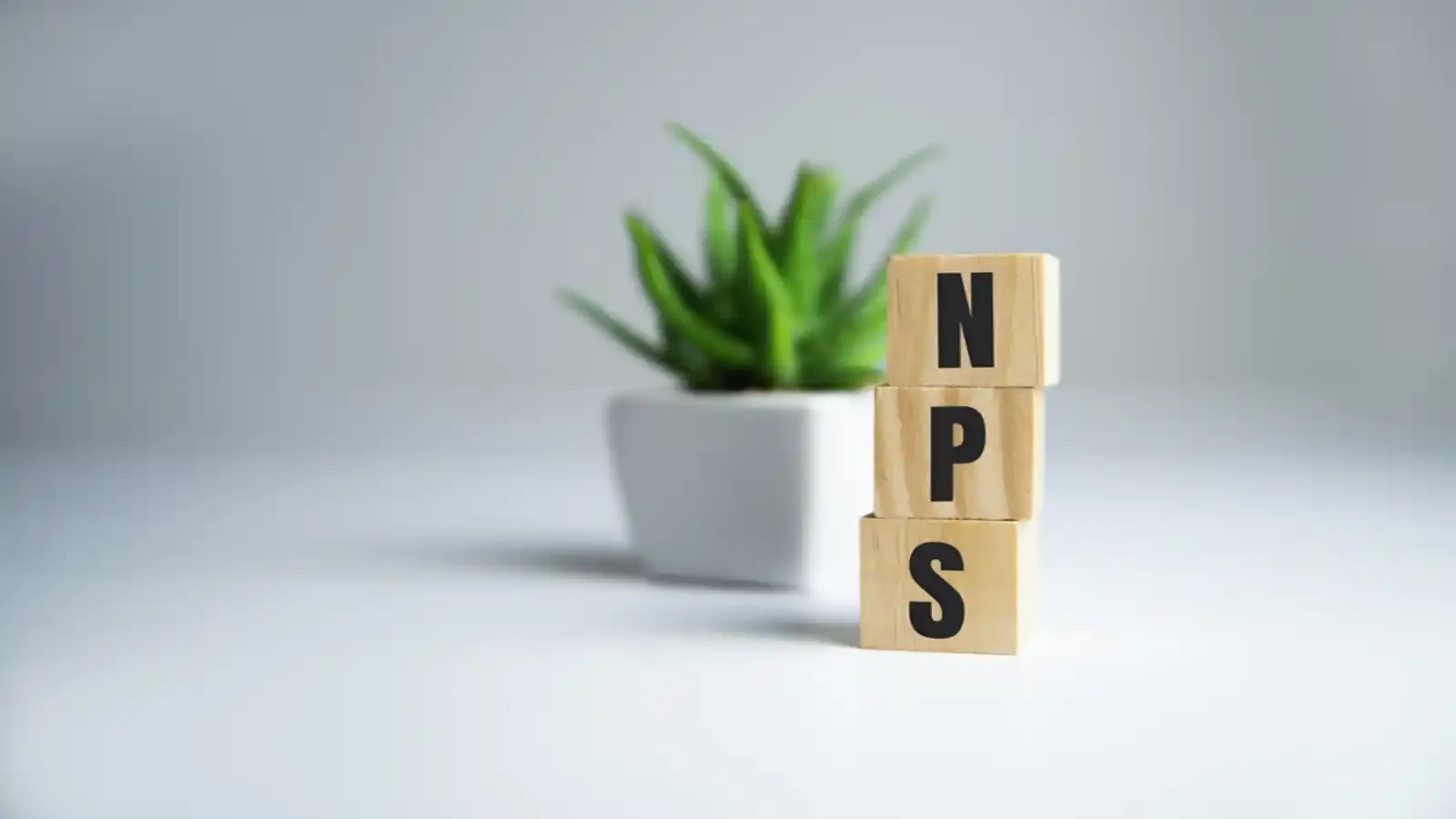 nps fund management charges