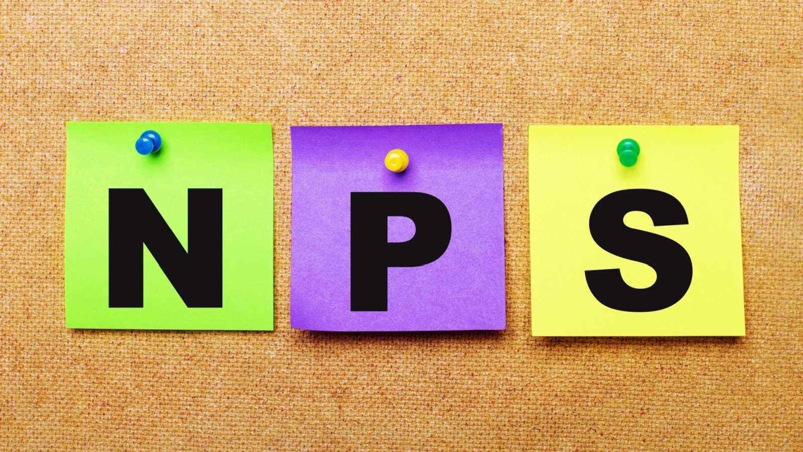 nps 100% equity option