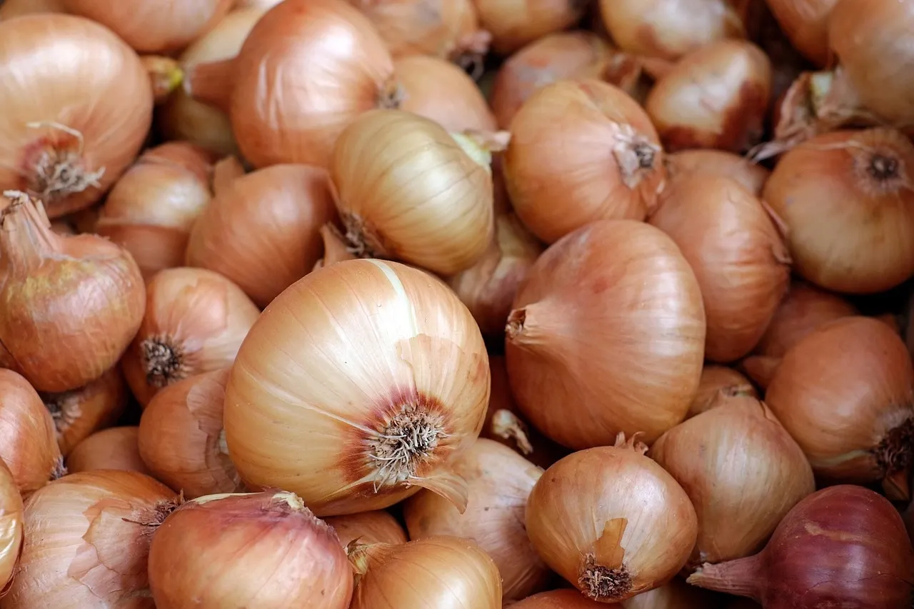 The Centre has decided to increase onion disposal following supply constraints in certain markets