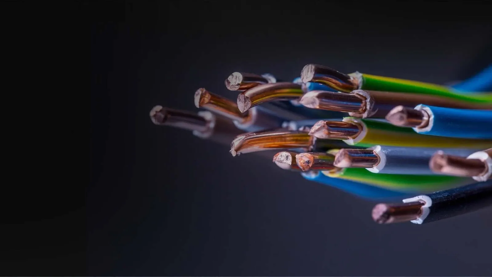 Orient Cables specialises in networking cables and passive networking equipment and serves industries. | Image: orientcables.in