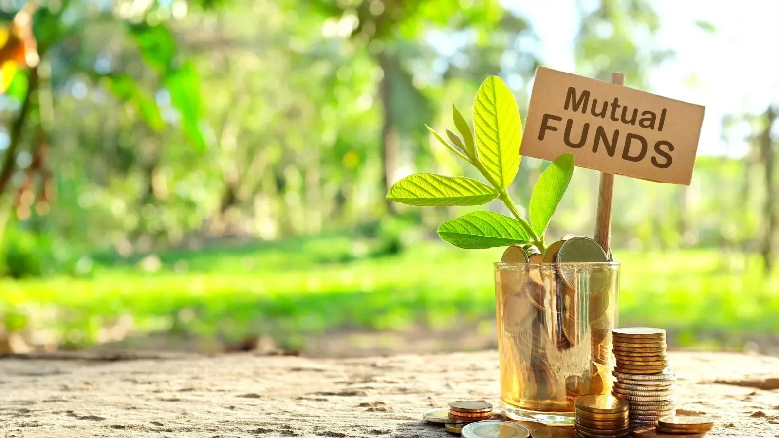 Parag Parikh Flexi Cap Fund
