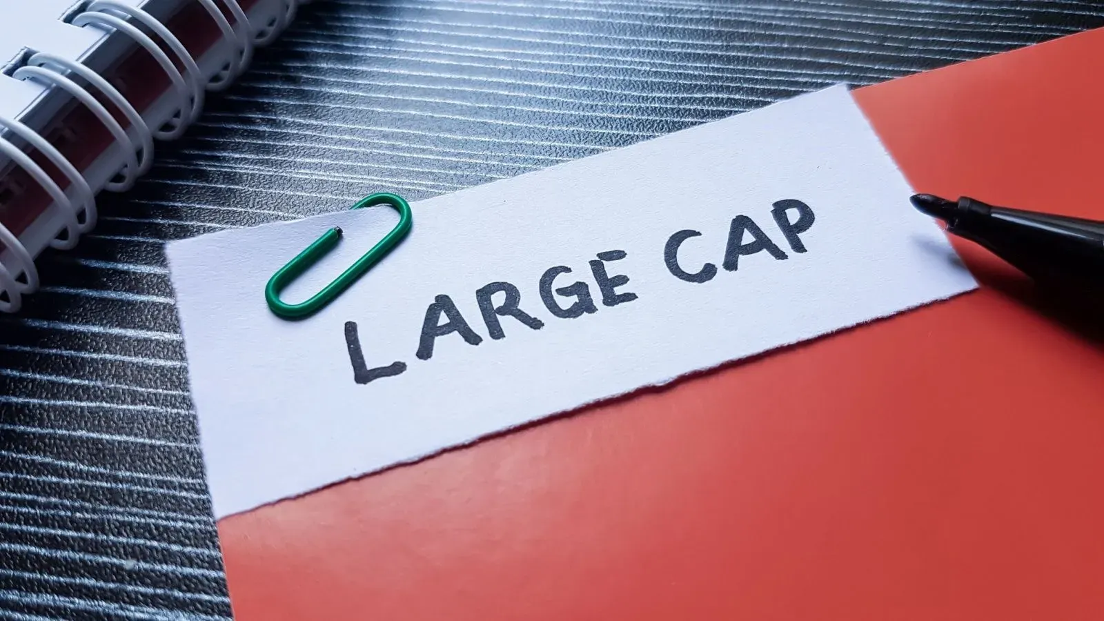 parag parikh large cap fund details