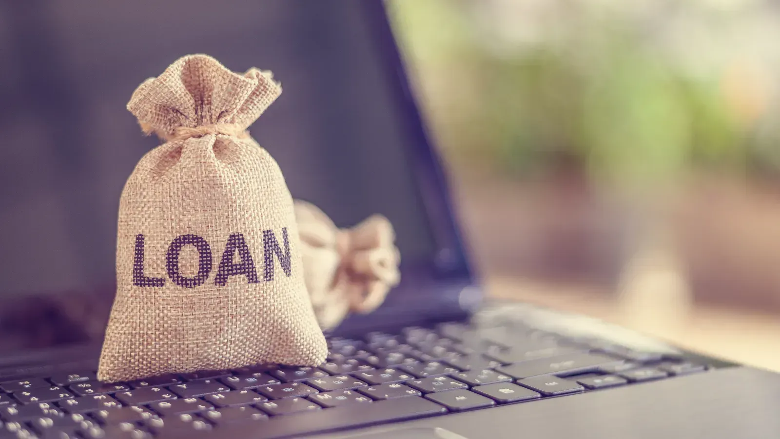 Loan