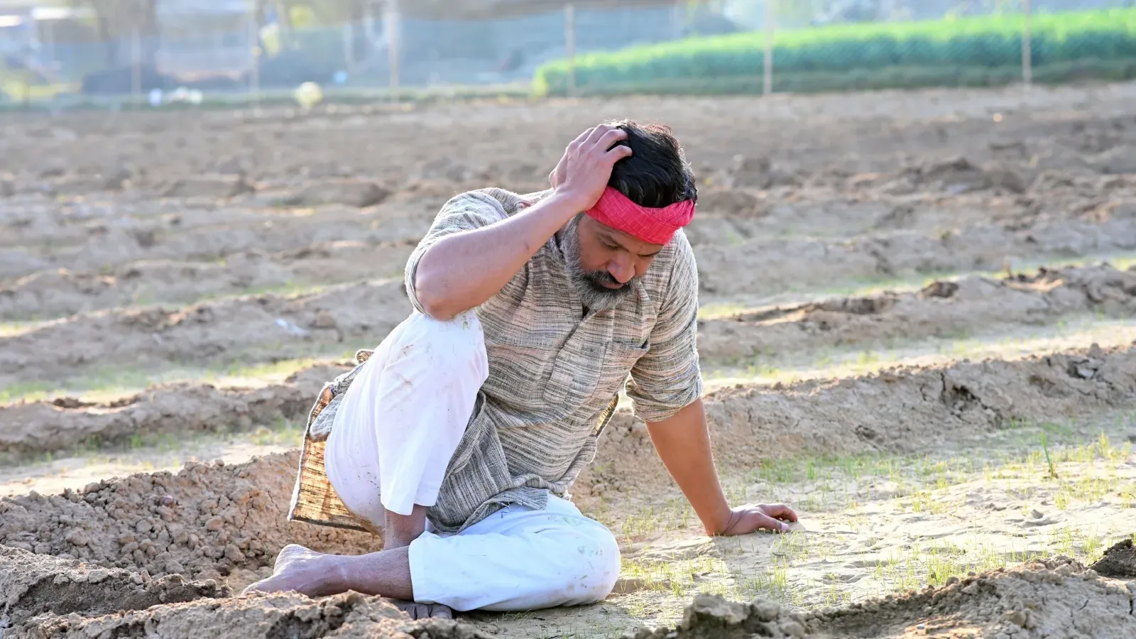 pm-fasal-bima-yojana-last-date-16-farmer