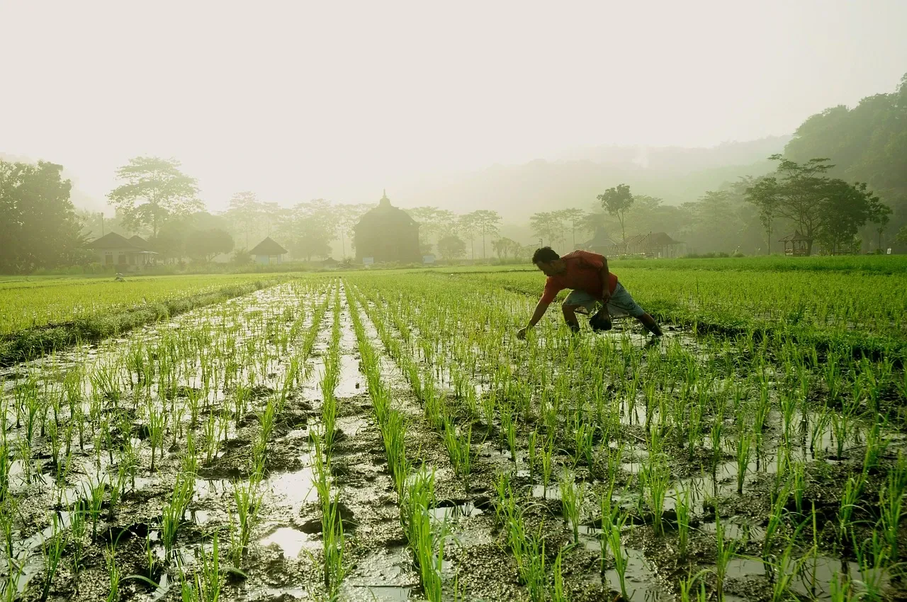 PM Modi specifically mentioned the PM Dhan Dhanya Krishi Yojana, describing it as "a very important scheme" for him.