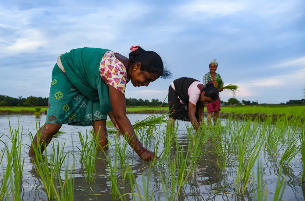 The PM-Kisan Scheme was launched by PM Narendra Modi on February 24, 2019. | Image: Shutterstock