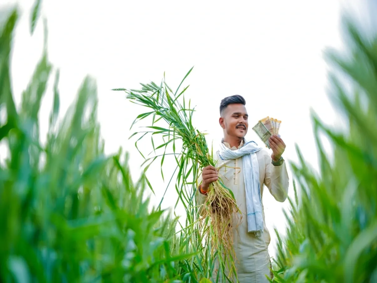 The food secretary  Sanjeev Chopra also stressed the need to streamline the e-Kisan Upaj Nidhi online platform