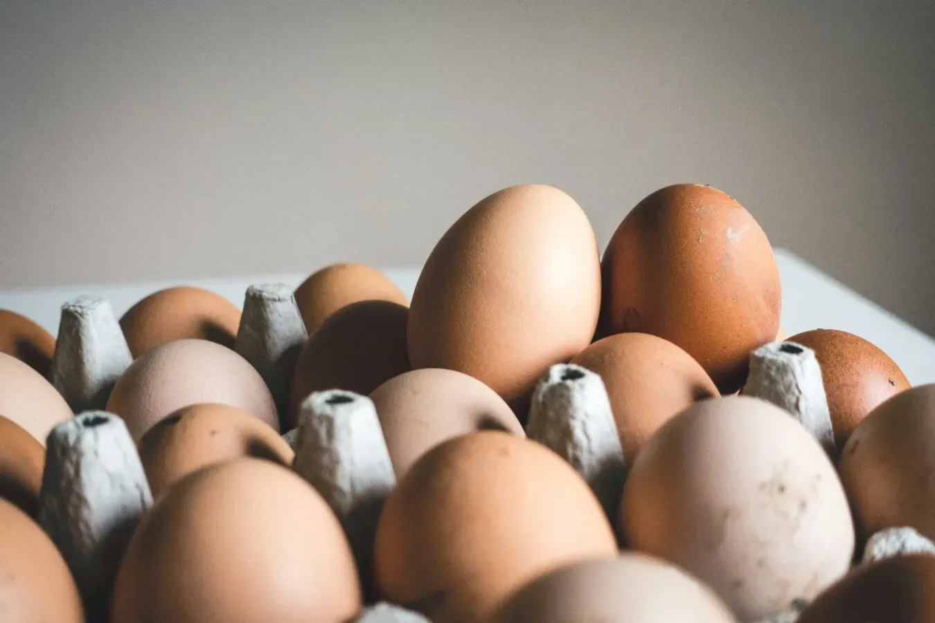 Crisil sees 10% growth in poultry industry: What's pushing up egg, chicken prices?