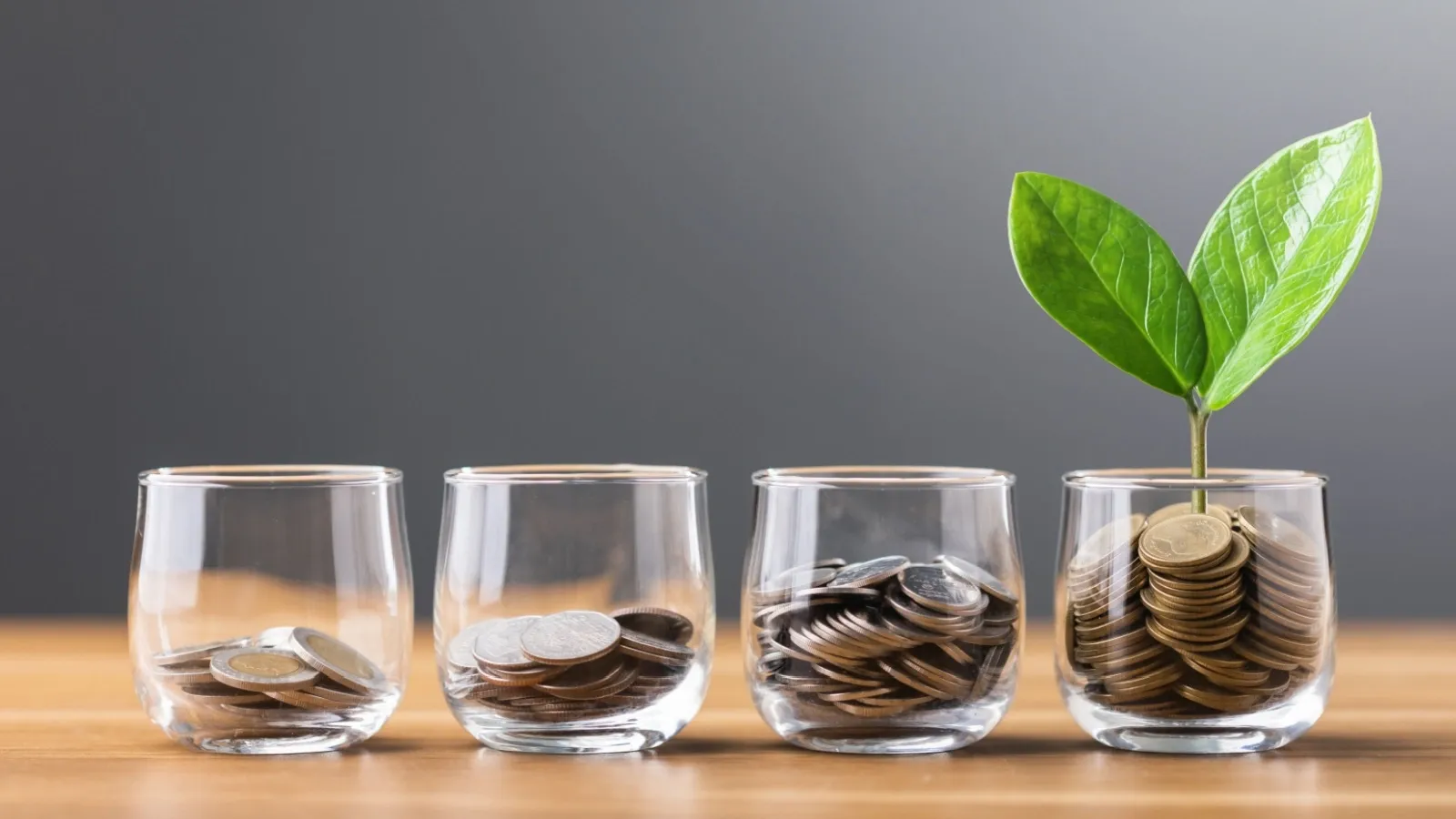 ppf investment limit for parents