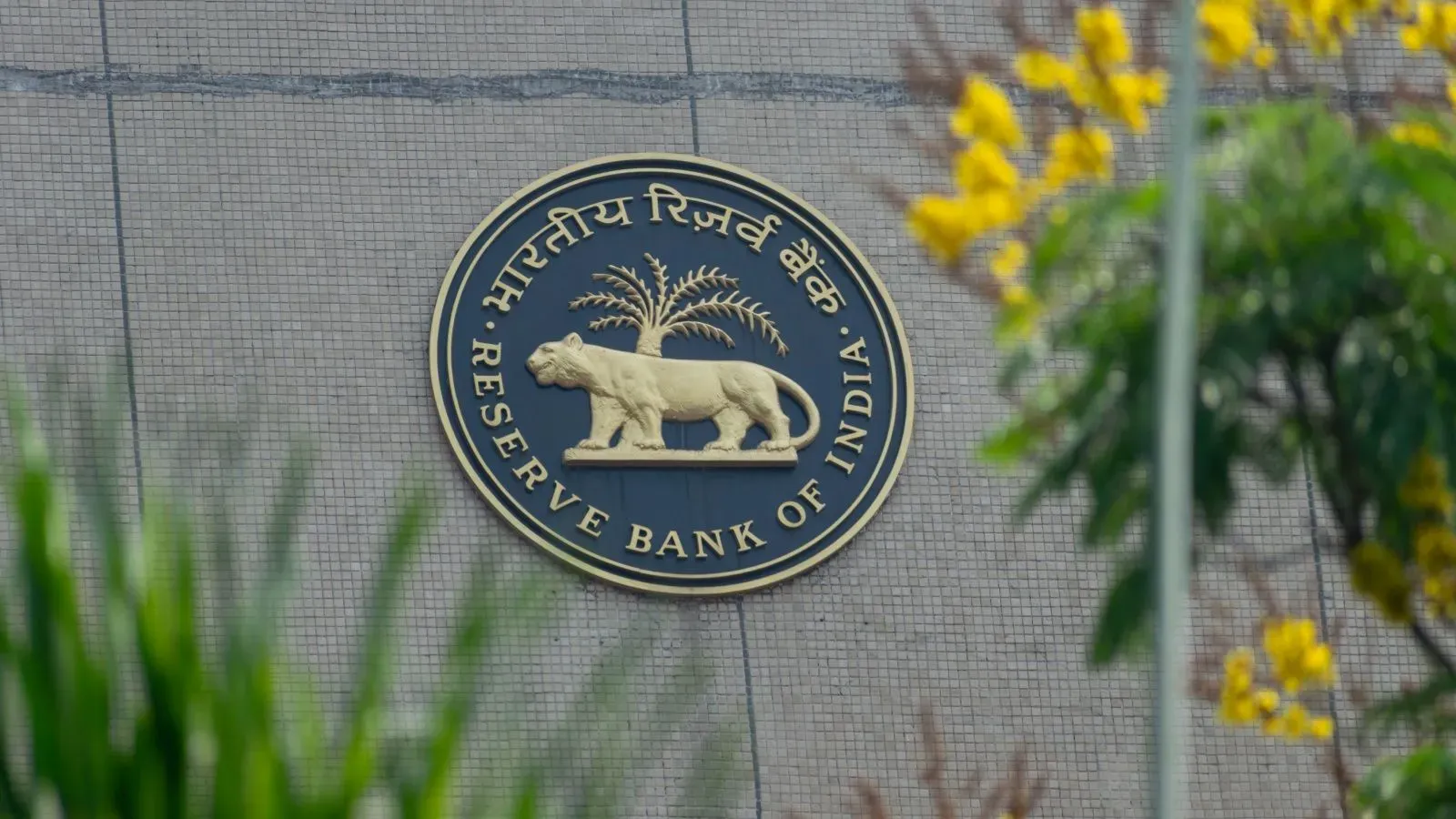 RBI's 2028 plan explained
